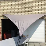 Gouden Boom 0618 P Daire